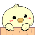 Adorable young Chick : Animated