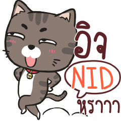NID3 charcoal meow