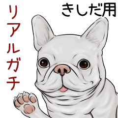 Kishida Real Gachi Pug & Bulldog