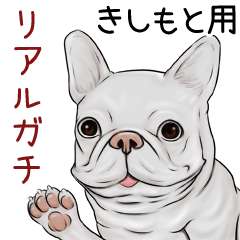 Kishimoto Real Gachi Pug & Bulldog