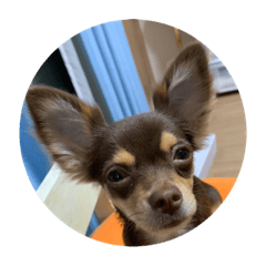 Hello_20190920073832