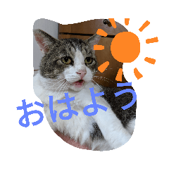 my_20190920010951