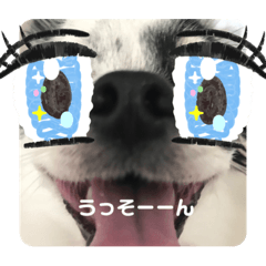 rii_20190920124232