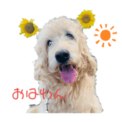 RAN_20190920134553