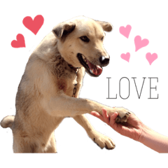 the only treasure in the world_2