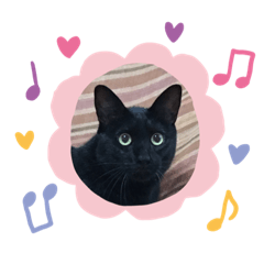 Black cat Takeru