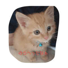 saya_20190920164826