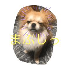 AandR_20190920172449