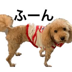 kinako_20190920194139