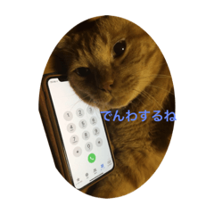 rei_20190920202838