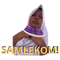 GAJEBO!!