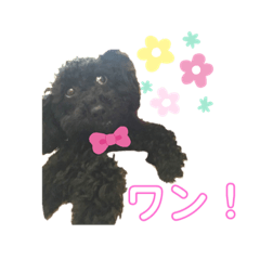 take_20190920212313