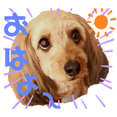 ayumi_20190920215440