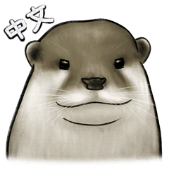 Otter family's life (Chinese)