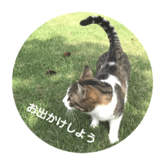 kana.sugar