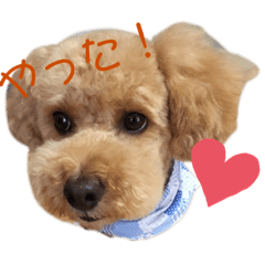 moka_20190920231610