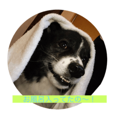 hayato_20190920232725