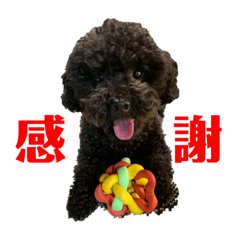 うさぎくんとことりちゃんと朝子