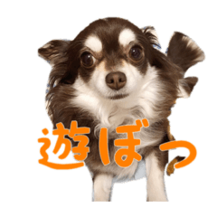 ArikoNOnichijo