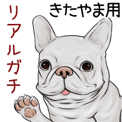 Kitayama Real Gachi Pug & Bulldog
