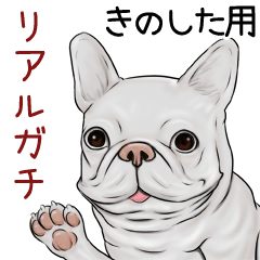 Kinoshita Real Gachi Pug & Bulldog