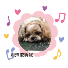 拉拉第2彈