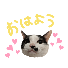 akane_20190921154350