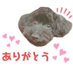 maya_20190921175625
