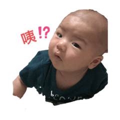 紹宇寶貝