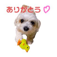 misako_20190921210736