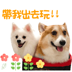 錢錢與小小