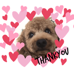 haruna_20190921221922