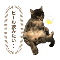 mizupon_my_cat_stamps