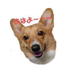 kinako_20190921183004