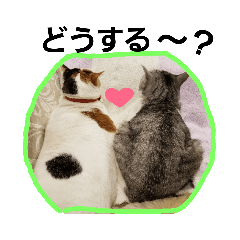 nonta_20190921235551