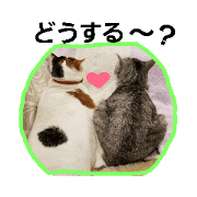 nonta_20190921235551