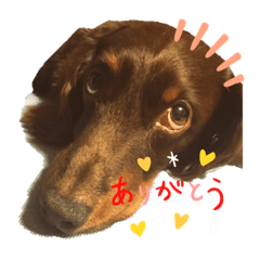 I love REX