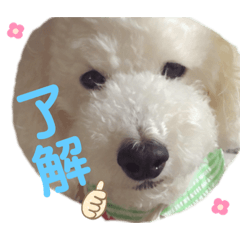 MAYA_20190922115802