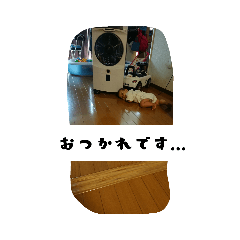 yuuki_20190922120322