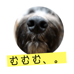 ジオファミリー スタンプ