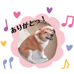 Hana_20190922165957