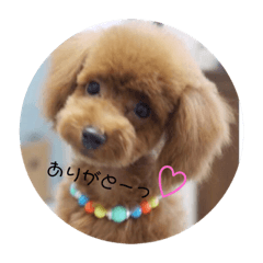 yama_20190922162225