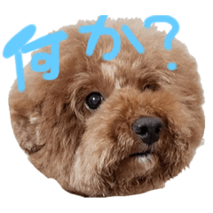 chia_20190922171504