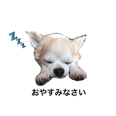 OMOCHI_20190922190431