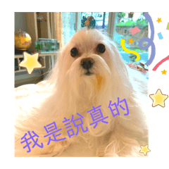 Denny帥弟