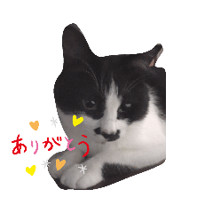 Rinrin_20190922214651