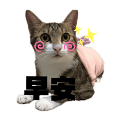 pettyeggmig