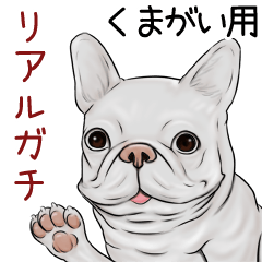 くまがい用リアルガチなパグ ブルドッグ Line スタンプ Line Store