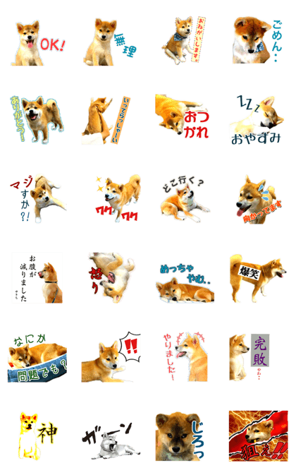 Line クリエイターズスタンプ 柴犬ゆきち