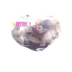 阿蒼系列